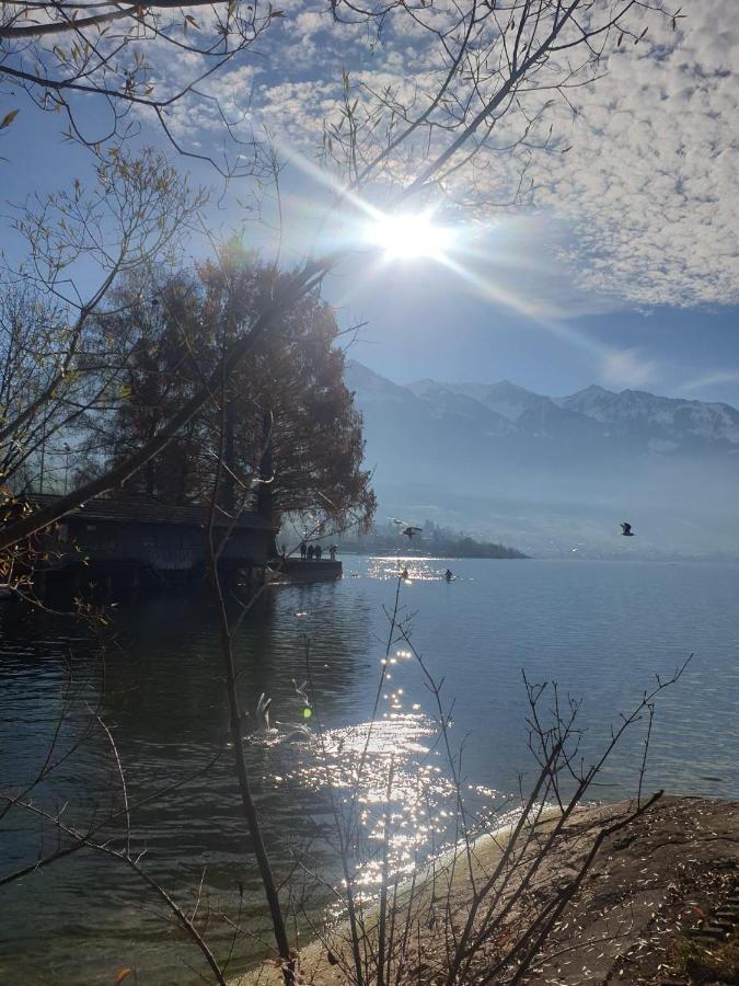 Villa Castagna Guesthouse Luzern Exteriör bild