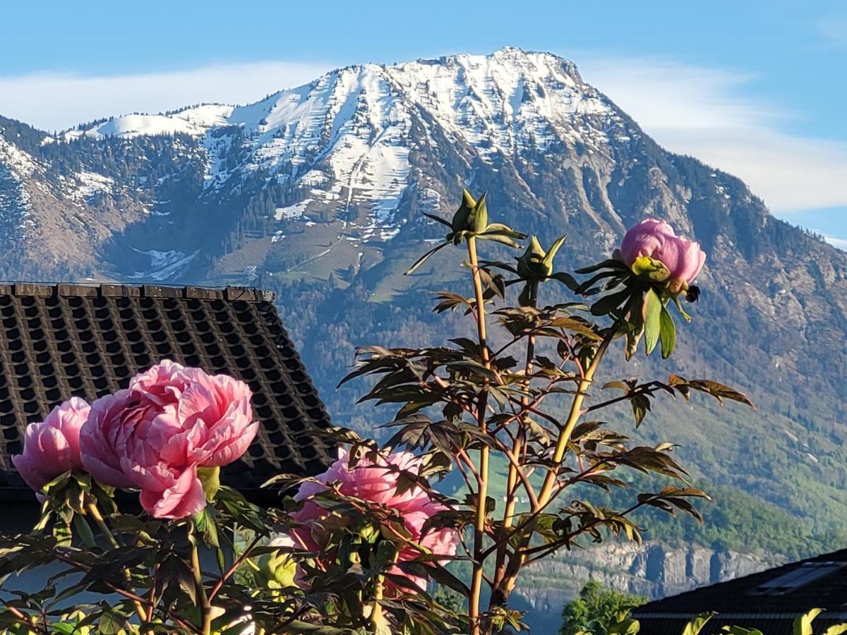 Villa Castagna Guesthouse Luzern Exteriör bild